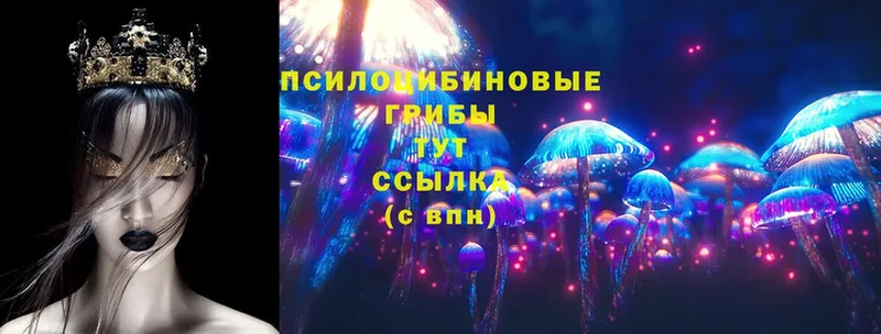 Псилоцибиновые грибы Magic Shrooms  цены   Змеиногорск 